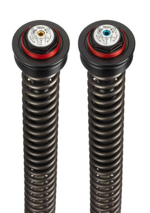 TRIUMPH DAYTONA 675 (2009-2012) Bitubo Cartrigekit (fuldt justerbar)