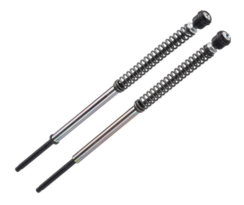 HARLEY DAVIDSON XL 883N IRON (2017 - 2019) Bitubo Cartrigekit (fully adjustable) - Pitboxen Performance