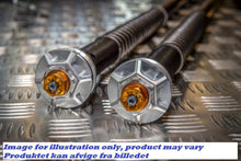 Suzuki DL 650 V-Strom 2003-2014: Andreani Justerbar Cartridge kit "MISANO EVO"